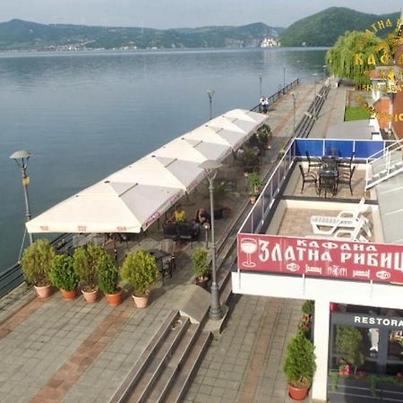 Zlatna Ribica Appartement Golubac Buitenkant foto