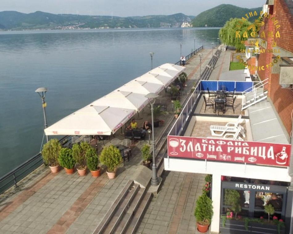 Zlatna Ribica Appartement Golubac Buitenkant foto