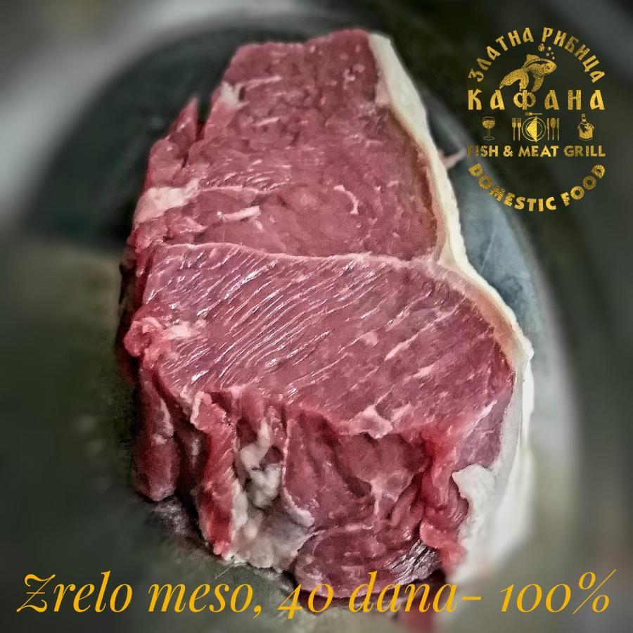 Zlatna Ribica Appartement Golubac Buitenkant foto