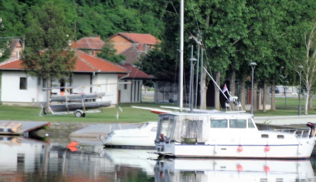Zlatna Ribica Appartement Golubac Buitenkant foto